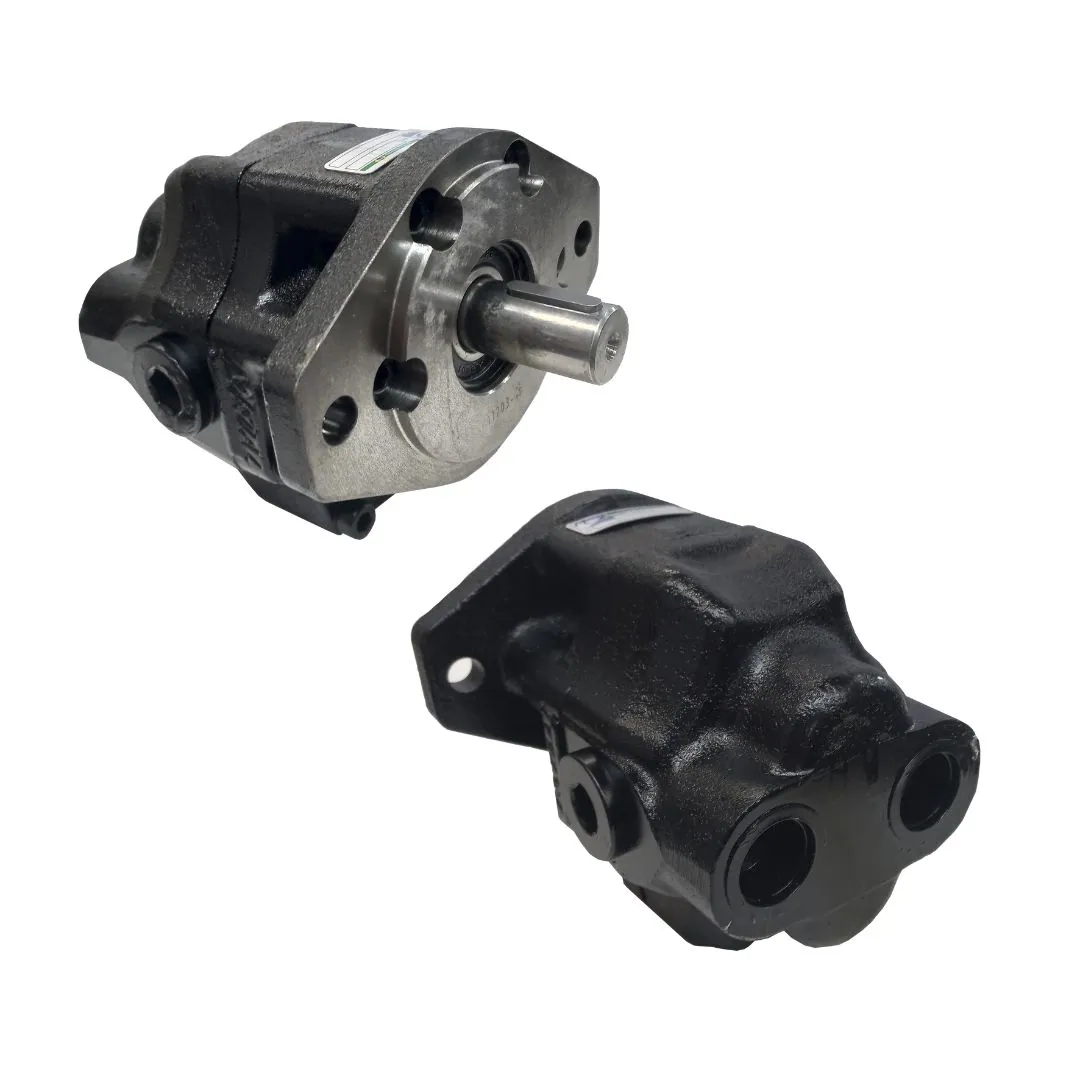 BOMBA 63L 220 BAR SAE B 2F 1 CHAVETA BI DIRECIONAL - 019255