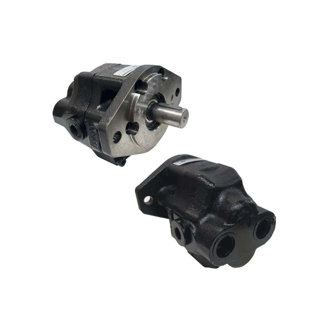 BOMBA 73L 220 BAR SAE B 2F 1 CHAVETA BI DIRECIONAL - 019256