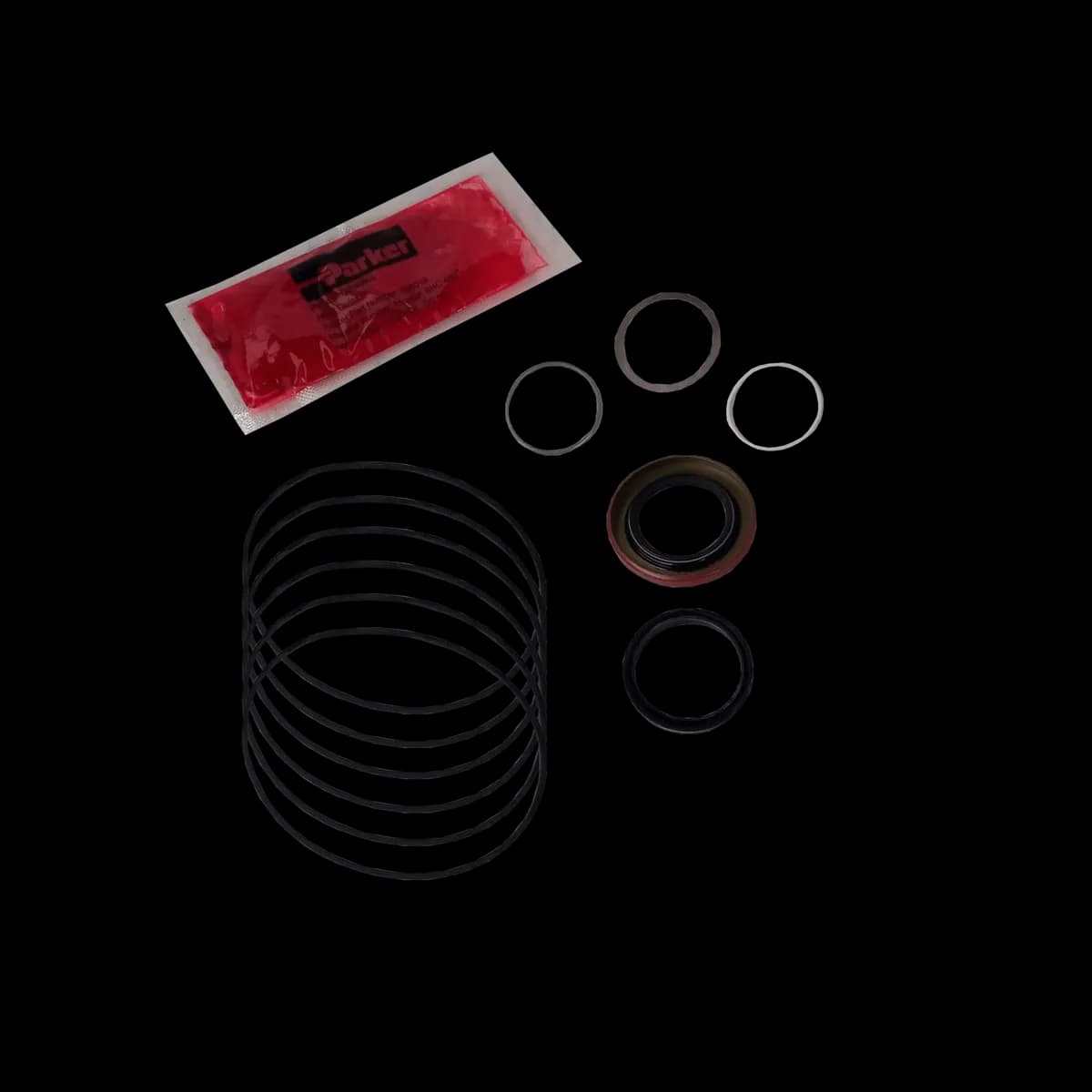 CONJUNTO VEDAÇÃO TF/TG - 004831